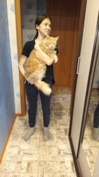 Любимая кошатинка  - ynHQ3jseK-k.jpg