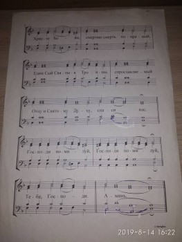 Вопрос регентам - IMG_20190814_162250.jpg