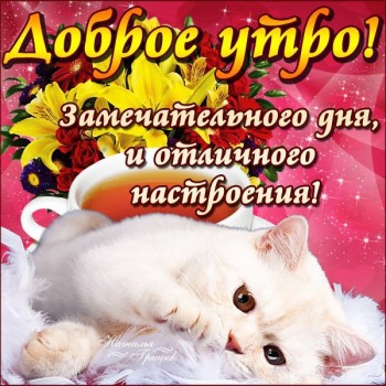 Доброе утро  - V8njKCrjLRM.jpg