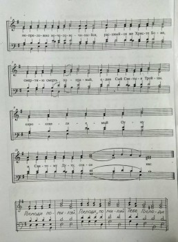 Вопрос регентам - IMG_20190817_094448.jpg