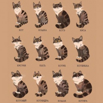 Любимая кошатинка  - B92C90FC-BCE7-4000-8C51-BCB2AB4ED2CE.jpeg