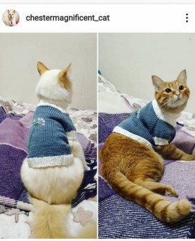 Вязание спицами-2 - IMG_20191028_143853_245.jpg