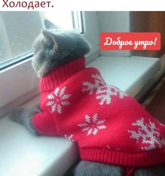 А что у нас с погодой? -6 - nxkth1pCfQ8.jpg