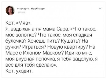 Любимая кошатинка  - 4rwJ66uTQ4M.jpg