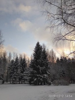 А что у нас с погодой? -6 - IMG_20191202_145421.jpg