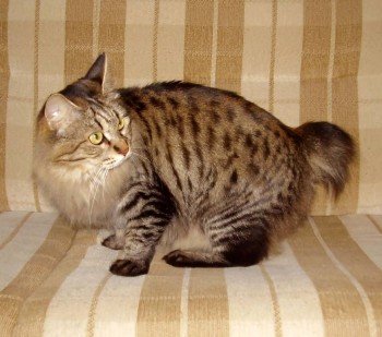 здесь постарше