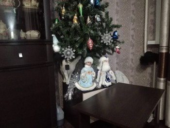 Любимая кошатинка  - aoONI9kpM24.jpg