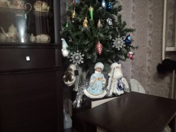 Любимая кошатинка  - CM-w5QPaxjw.jpg