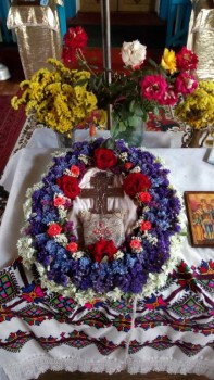 Первая проба на оазисе.