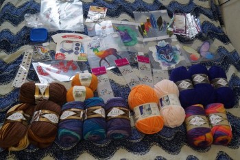 Быстрее моли - 9 - DSC06881.JPG