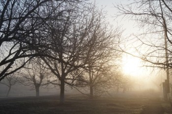 А что у нас с погодой? -6 - 1111.JPG