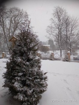 А что у нас с погодой? -6 - IMG_20200126_124419.jpg