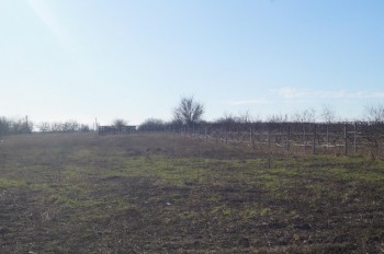 Травка зеленеет, солнышко блестит (Наш участок)