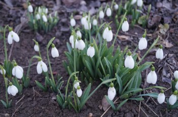 А что у нас с погодой? -6 - 1.JPG