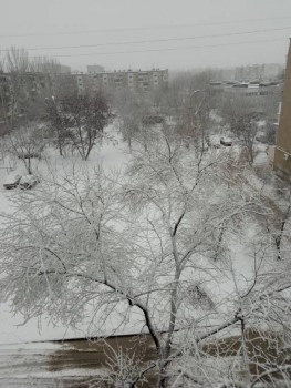 А что у нас с погодой? -6 - P00206-120406.jpg