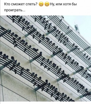 Говорилки о пении, нотах и т.д. - Screenshot_20200206_151155.jpg