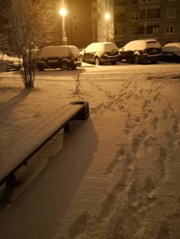 А что у нас с погодой? -6 - IMG_20200208_064008.jpg