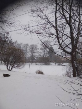 А что у нас с погодой? -6 - IMG_20200301_143814.jpg