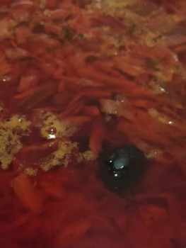 Борщ. Без поджарки.