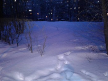 А что у нас с погодой? -6 - 20200324_193042.jpg