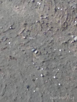 А что у нас с погодой? -6 - IMG_20200330_112335.jpg