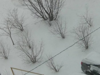 А что у нас с погодой? -6 - IMG_20200331_170632.jpg