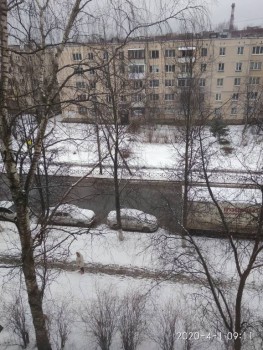 А что у нас с погодой? -6 - IMG_20200401_091157.jpg