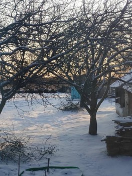 А что у нас с погодой? -6 - IMG_20200401_062854.jpg