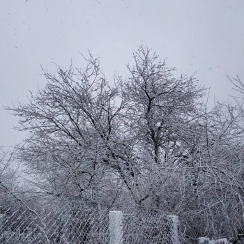 А что у нас с погодой? -6 - IMG_20200405_160024_039.jpg