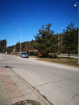 А что у нас с погодой? -6 - IMG_20200405_123551.jpg