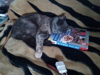 Любимая кошатинка  - IMG_20200410_130601.jpg