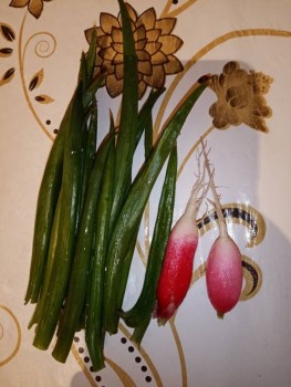 Сельское хозяйство по полной - IMG_20200413_200006.jpg