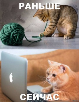 Страшнее кошки зверя нет  - s1200 (9).jpeg