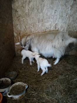 С мамой, первое фото в день рождения