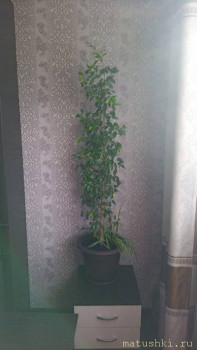 Наши цветы 2 - fh8vjk3AeWo.jpg