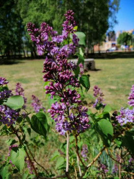 А что у нас с погодой? -6 - IMG-6cfcad617fd3a42cfd32d971a4496fd8-V.jpg