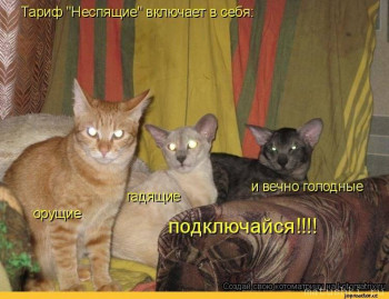 Страшнее кошки зверя нет  - s1200 (21).jpeg