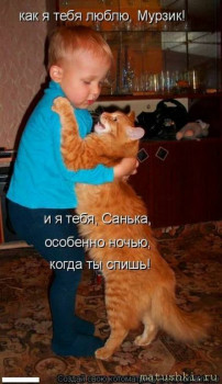 Страшнее кошки зверя нет  - s1200 (23).jpeg
