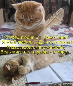 Страшнее кошки зверя нет  - scale_1200 (2).jpeg