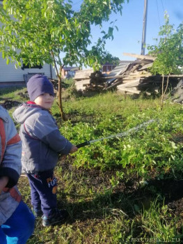 Федя поливает клубнику