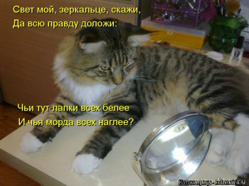 Страшнее кошки зверя нет  - kotomatritsa_hjm.jpg