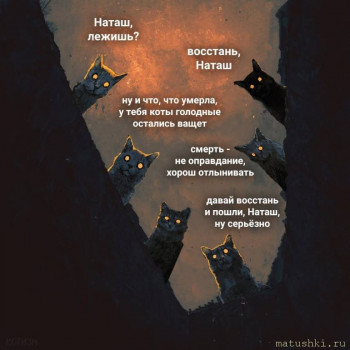 Страшнее кошки зверя нет  - untitled.jpg