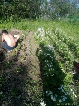 Наша дача - IMG_20200613_180528.jpg