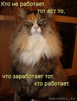 Страшнее кошки зверя нет  - i (2).jpeg