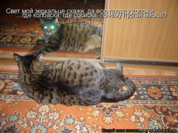 Страшнее кошки зверя нет  - Ze.jpg