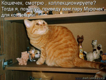 Страшнее кошки зверя нет  - 741515.jpg