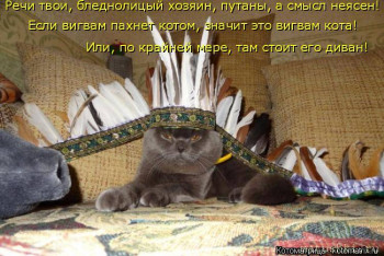 Страшнее кошки зверя нет  - kotomatritsa_VS.jpg