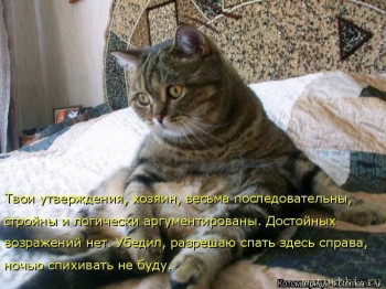 Страшнее кошки зверя нет  - s1200 (8).jpeg