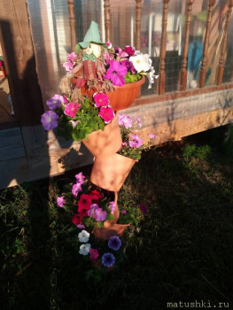 Наши цветы 2 - P_20200624_055732.jpg