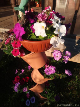 Наши цветы 2 - P_20200624_055711.jpg